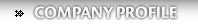 company profile